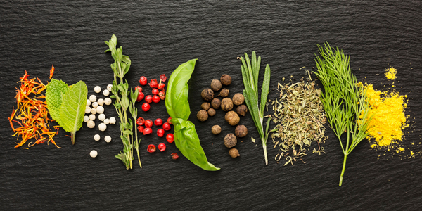 Ervas e Temperos que Transformam Qualquer Prato